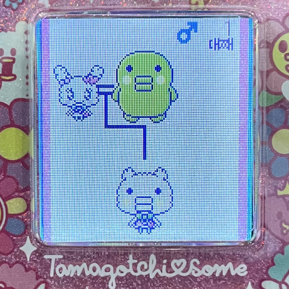 못생긴 남자랑 결혼하면 안되는 이유.. | 인스티즈