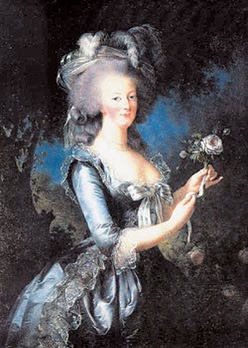 당시 프랑스 국민들이 '마리 앙투아네트' 를 싫어했던 이유 | 인스티즈