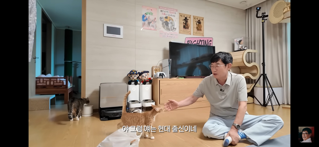 세계 최초 대기업 출신 고양이 | 인스티즈