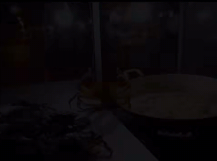 게가 산 채로 뜨거운 기름에 빠짐…gif | 인스티즈