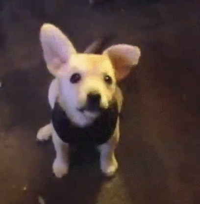 팔락.. 팔락.. | 인스티즈