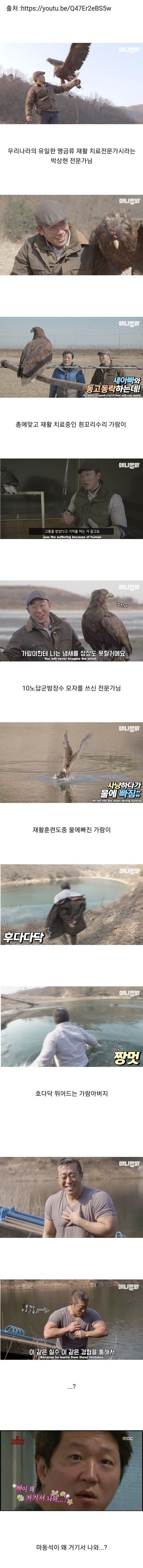 동물농장에 나온 맹금류 재활 치료 전문가의 반전몸매.jpgif | 인스티즈
