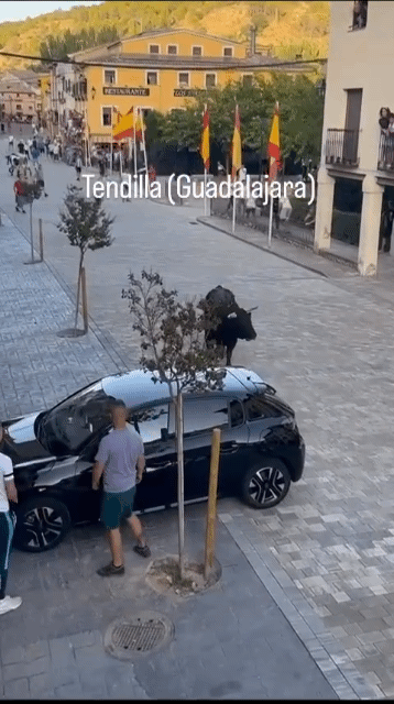 영상이 없었다면 보험사에서 안 믿을 상황 | 인스티즈