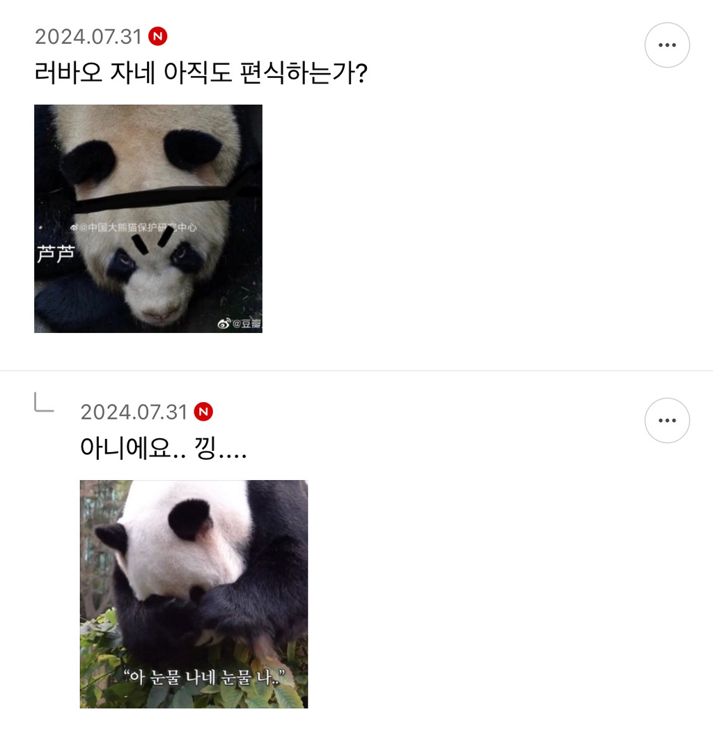 아이바오네 수컷 남판들🐼 | 인스티즈