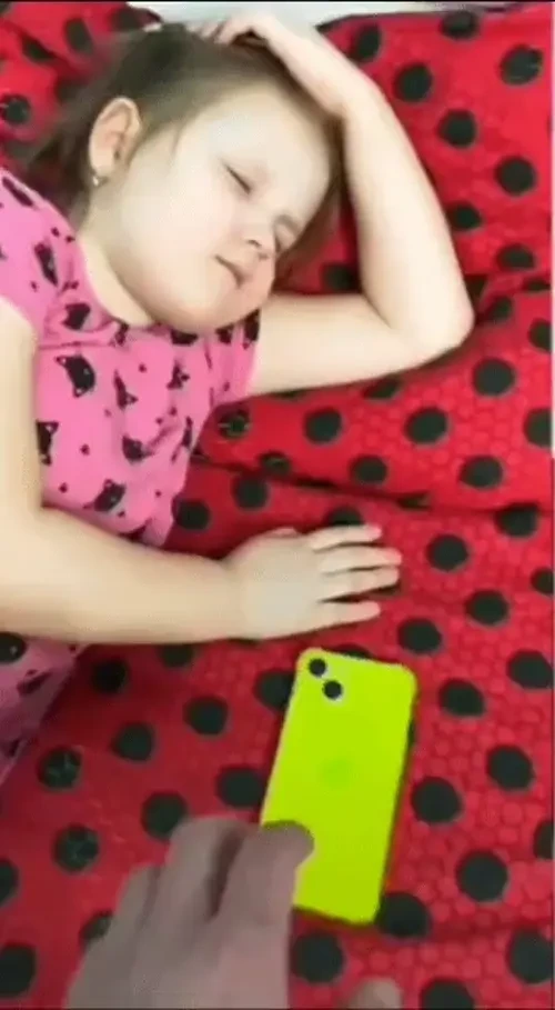 미국 레스토랑 평론가의 돼지국밥 표현 | 인스티즈