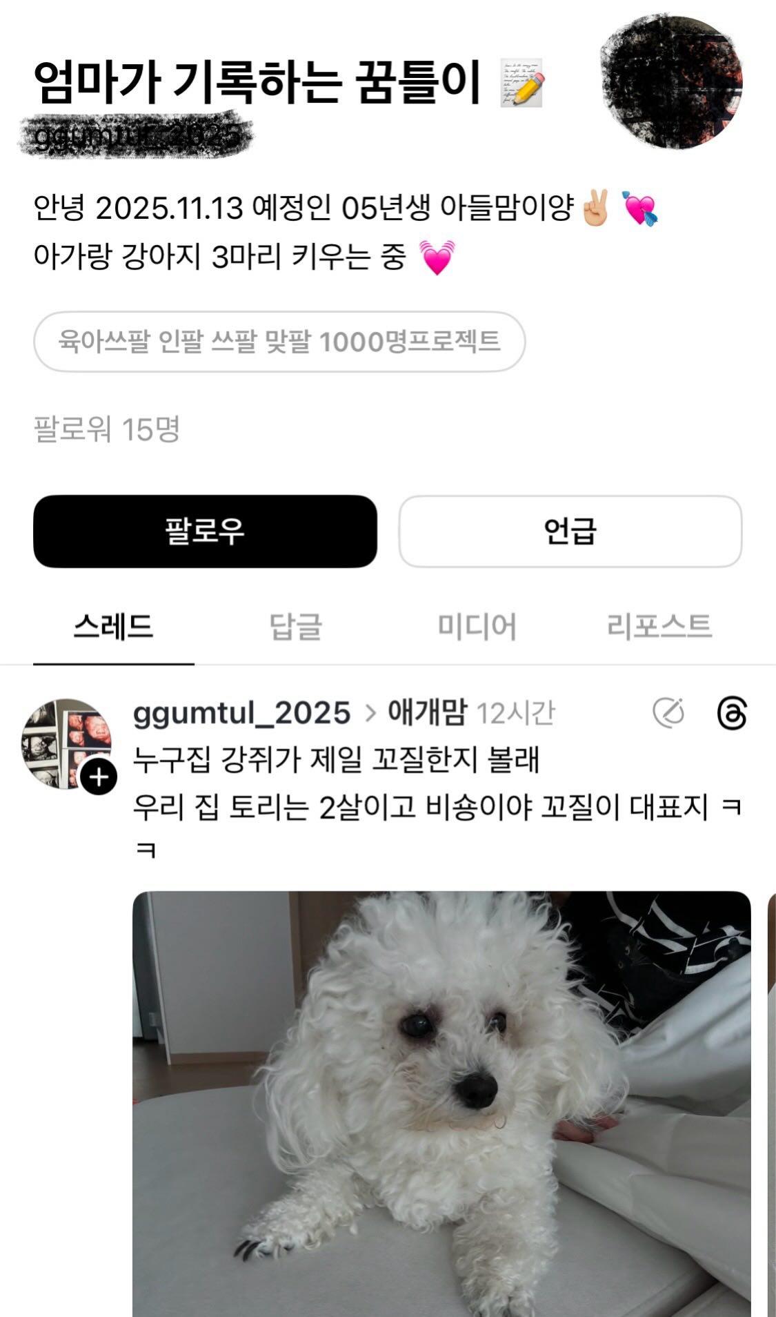 스레드에서 논란이라는 꼬질 강아지 | 인스티즈