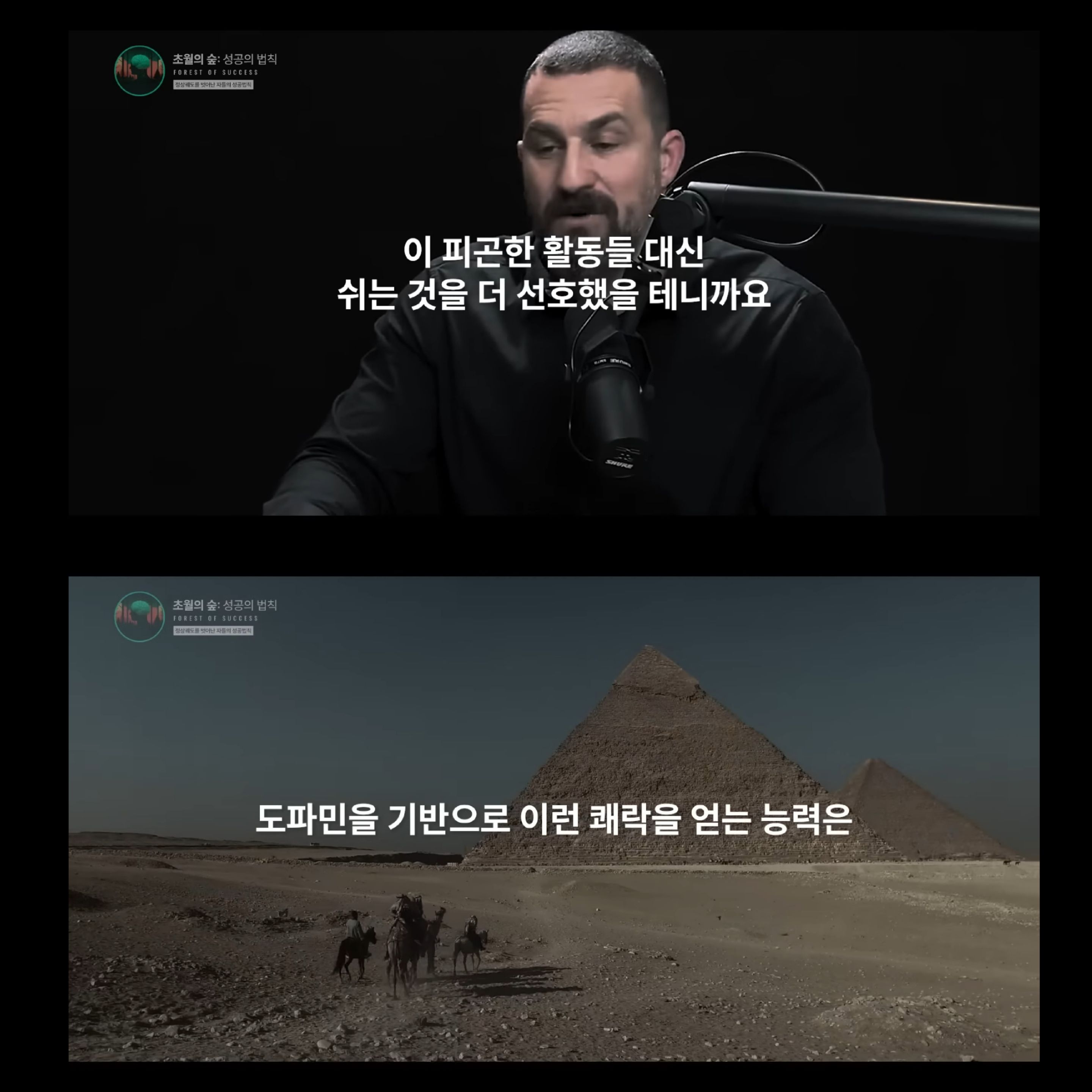 도파민 중독인 내가 도파민을 조절해 원하는 것을 이룰 수 있다고? | 인스티즈