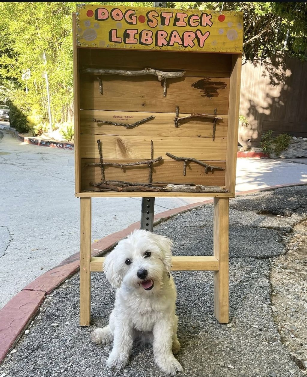 강아지를 위한 나무 막대기 도서관.jpg | 인스티즈