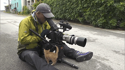 촬영하다가 졸지에 냥택당함 | 인스티즈