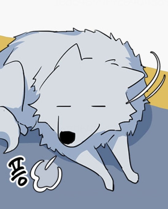 늑대일 땐 목줄 매고 두 발로 산책도 하는 real 반려남주🐺 | 인스티즈