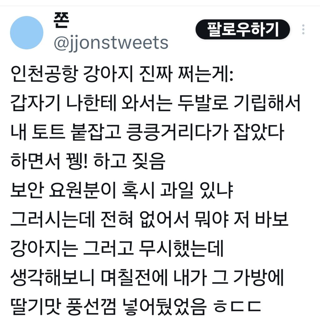 인천 공항 강아지 진짜 쩌는게: | 인스티즈