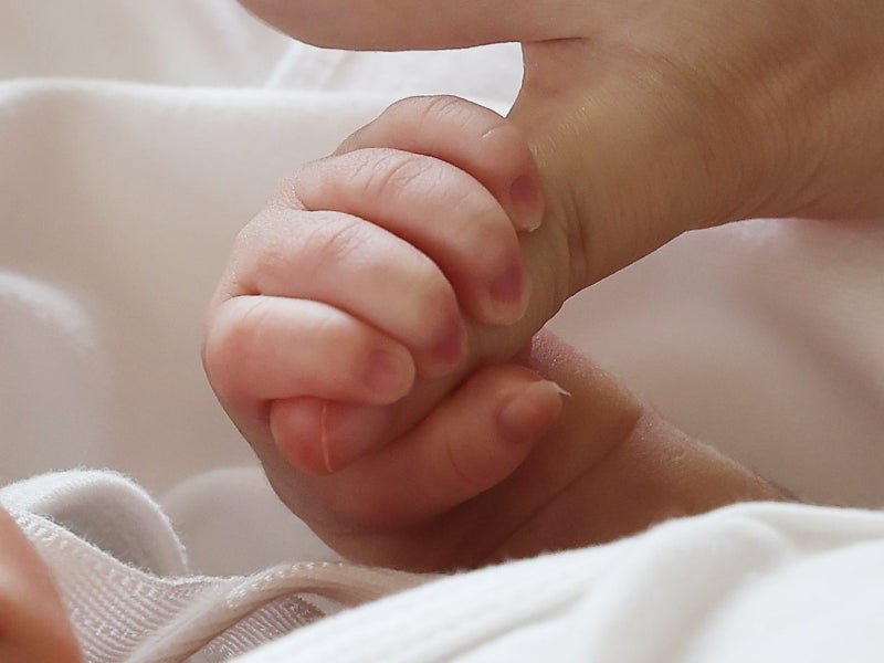 "아들만 낳는 집, 딸만 낳는 집...우연 아닌 유전자 영향” | 인스티즈