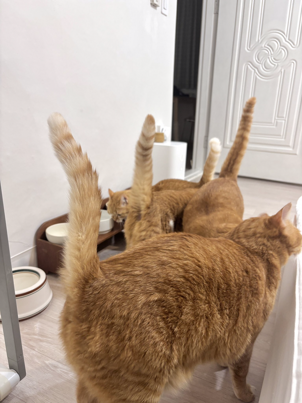 맘마 줄였더니 폭동 일어남.jpg | 인스티즈