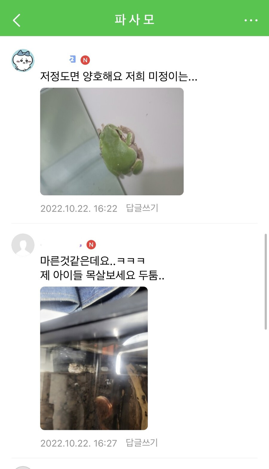 청개구리가 너무 뚱뚱하지 않나용? | 인스티즈