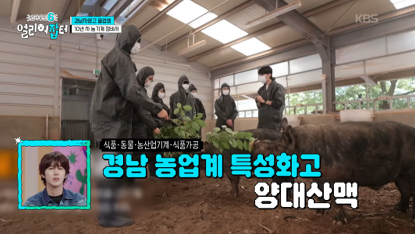 만삭인 아내 위해서 퇴근 후 식사 준비는 항상 자기가 한다는 남편 | 인스티즈