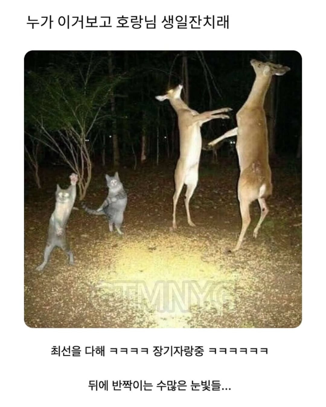 이거 박나래랑 쌈디라고 한거 누구냐 | 인스티즈