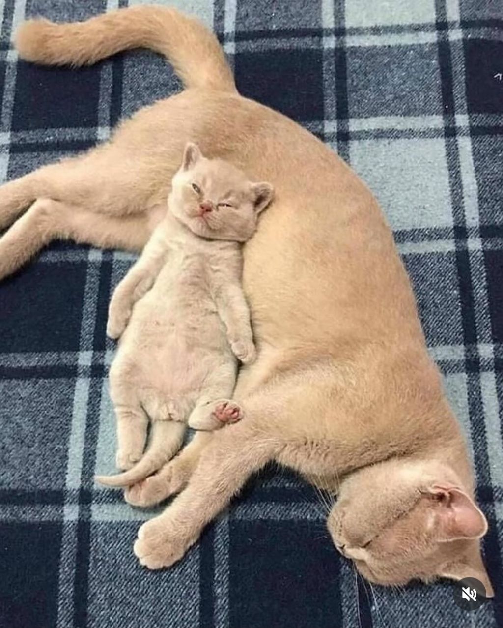 누가봐도 얘가 얘 낳음 | 인스티즈