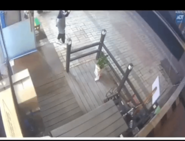 매장에 엄청 큰 벌레가 들어왔는데 직원들 반응이 너무 귀여움 | 인스티즈