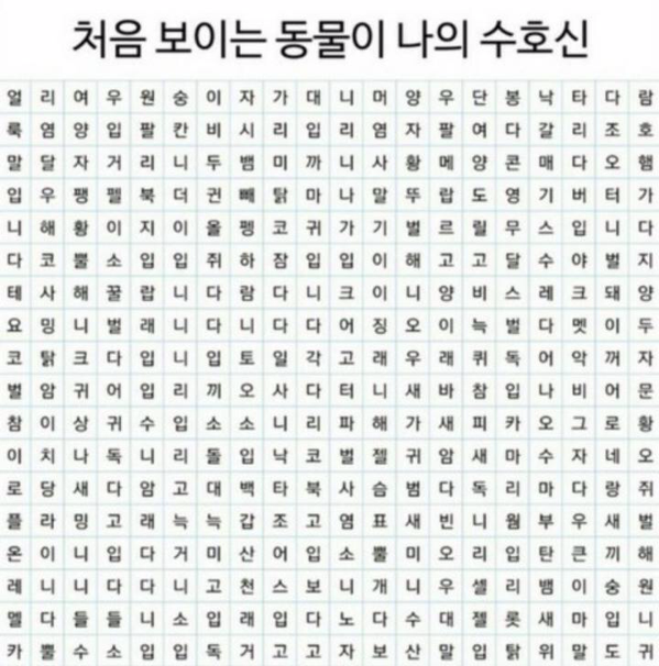 처음 보이는 동물이 나의 수호신 | 인스티즈