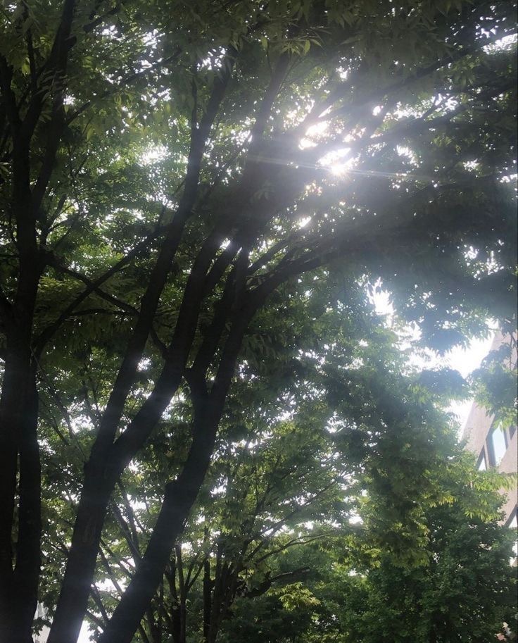 한국 그리고 여름 | 인스티즈