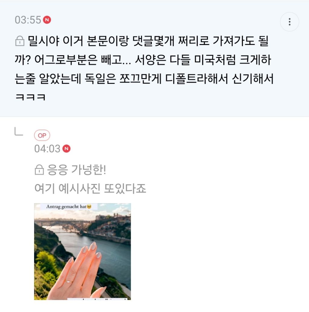 독일애들 프로포즈 다이아 크기 진짜 ㅋㅋㅋㅋㅋ | 인스티즈