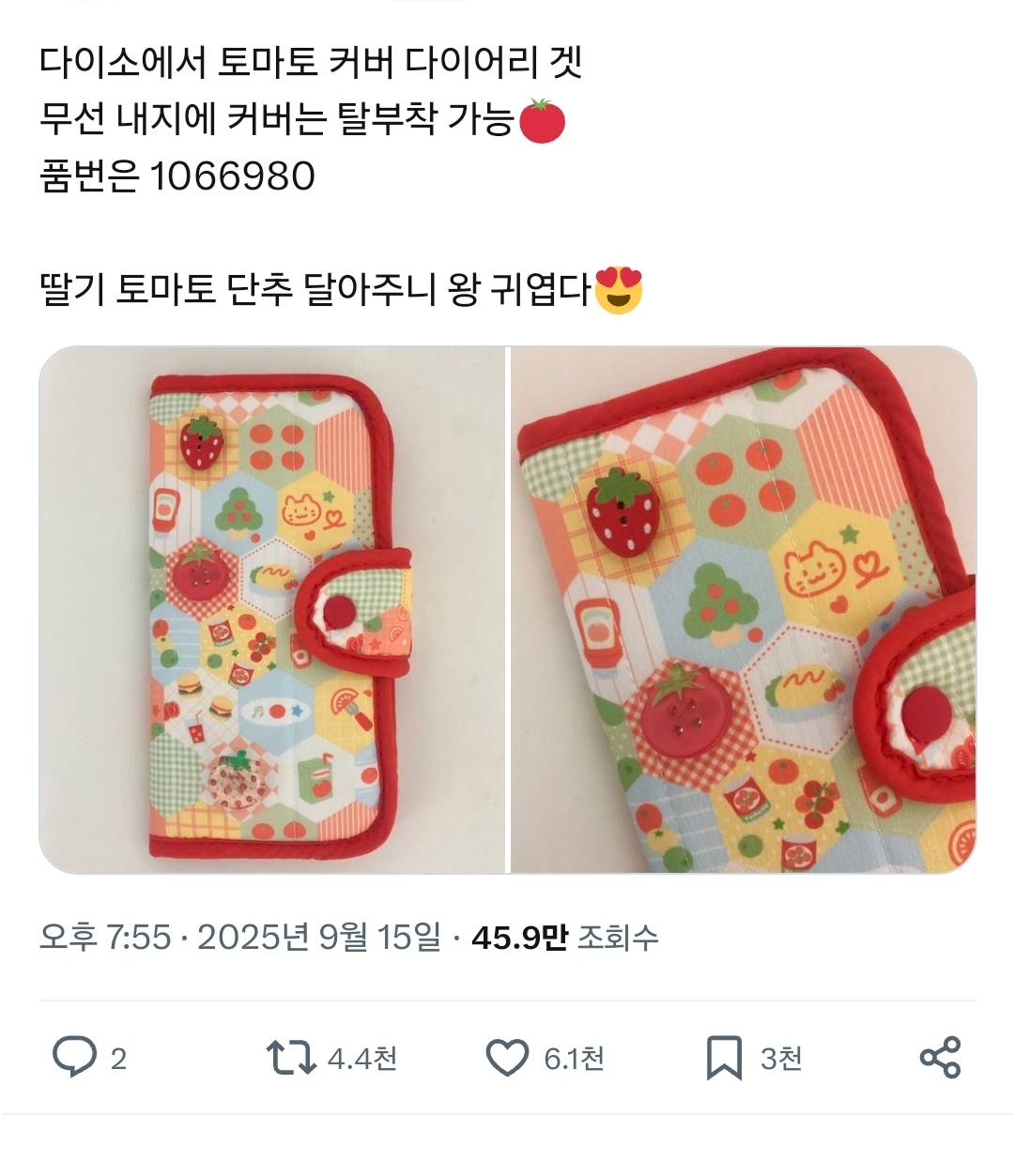 다이소에서 파는 토마토 다이어리 커버 | 인스티즈