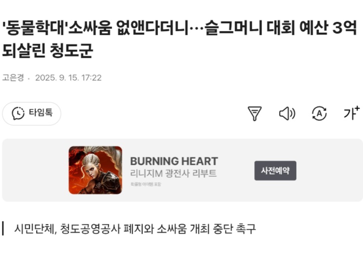 '동물학대'소싸움 없앤다더니···슬그머니 대회 예산 3억 되살린 청도군 | 인스티즈