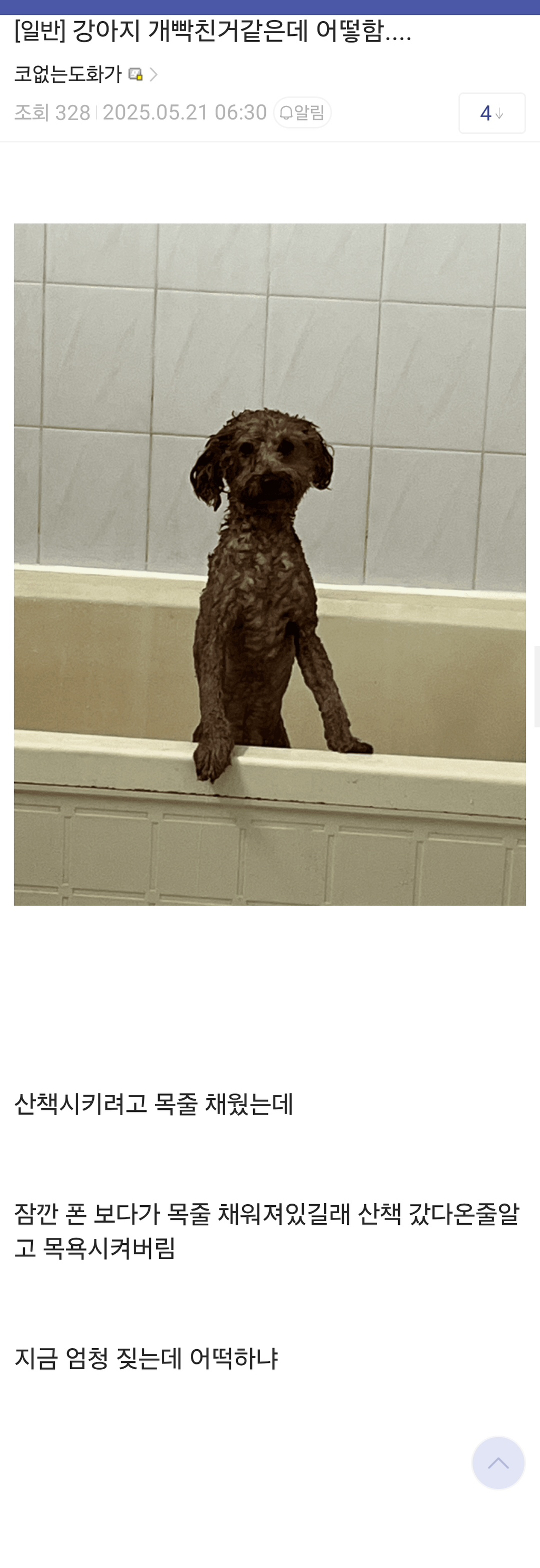 강아지 개빡친거같은데 어떻함.... | 인스티즈