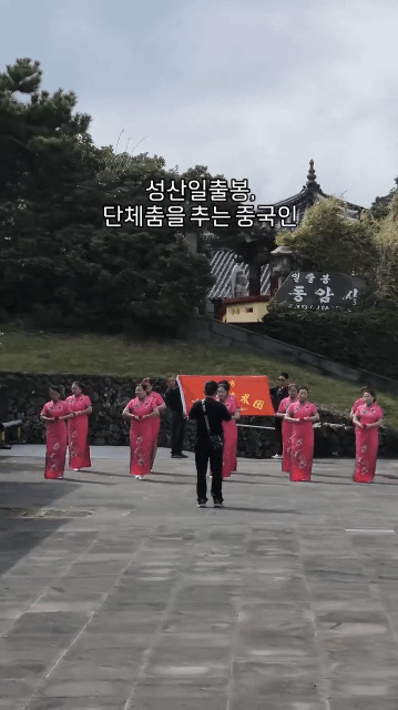 제주도 중국인 근황 .gif | 인스티즈