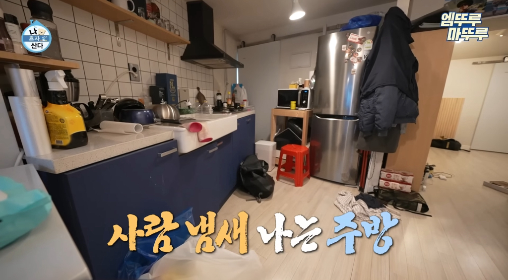 나혼산 김대호편 보는데 이런 집이면 고양이를 데려와야하지 않나..? | 인스티즈