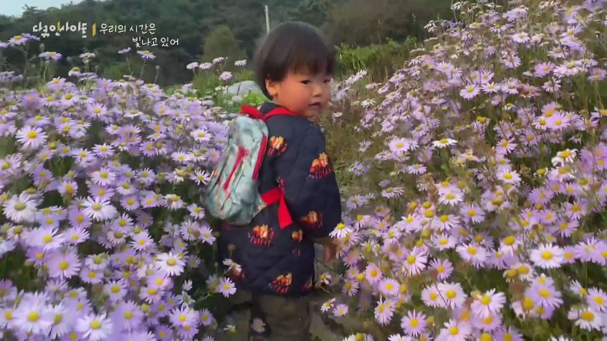 70이 다 되었는데 옆집 8살 아이가 자꾸 저희집에 찾아옵니다 | 인스티즈