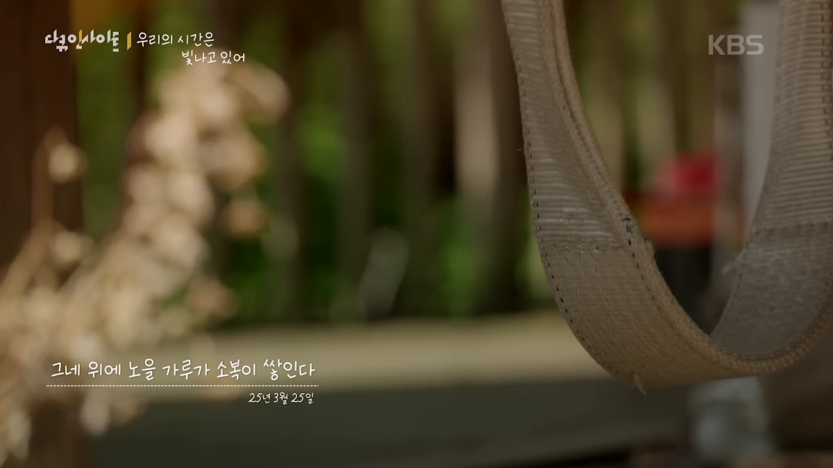 70이 다 되었는데 옆집 8살 아이가 자꾸 저희집에 찾아옵니다 | 인스티즈