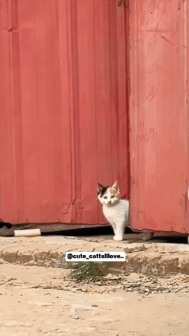 내새끼 쳐다보지 마 | 인스티즈