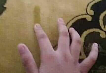 솔직히 여기 있는거 다 해봤다 손! | 인스티즈