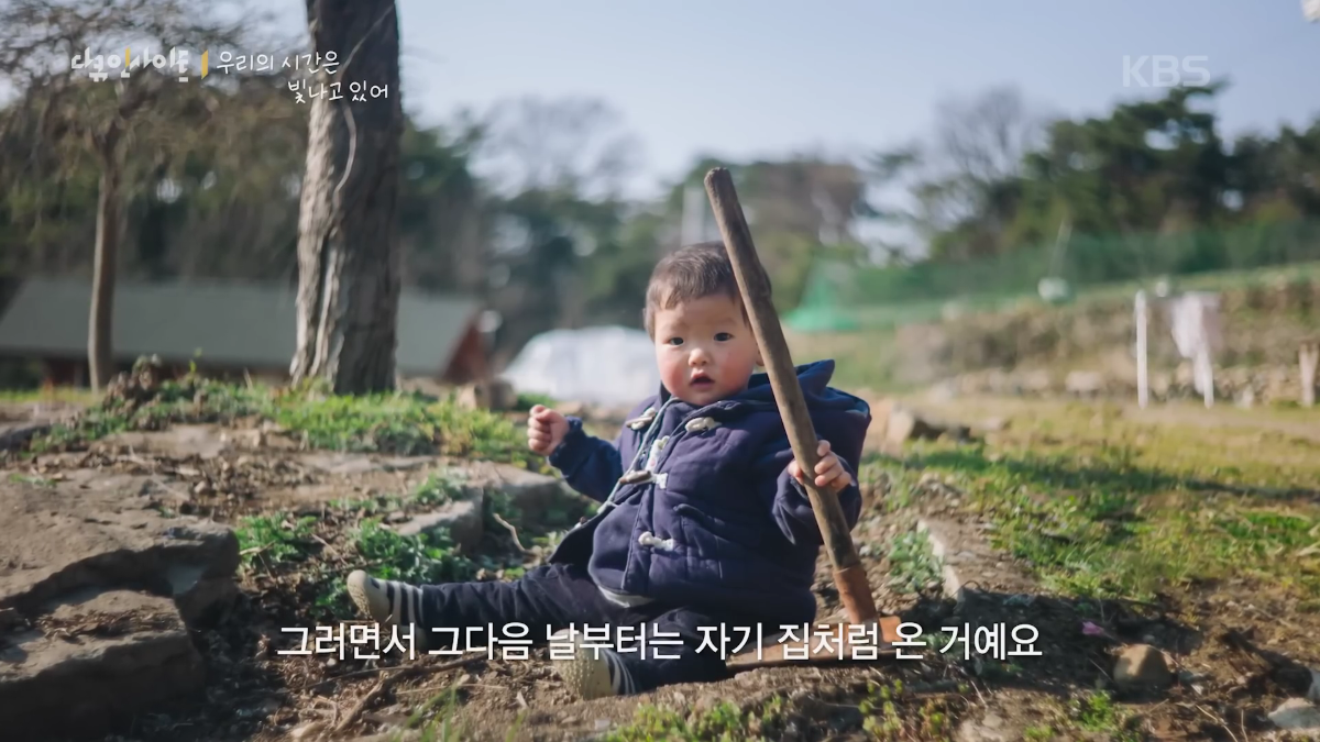 70이 다 되었는데 옆집 8살 아이가 자꾸 저희집에 찾아옵니다 | 인스티즈