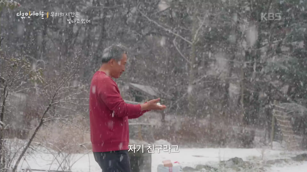 70이 다 되었는데 옆집 8살 아이가 자꾸 저희집에 찾아옵니다 | 인스티즈