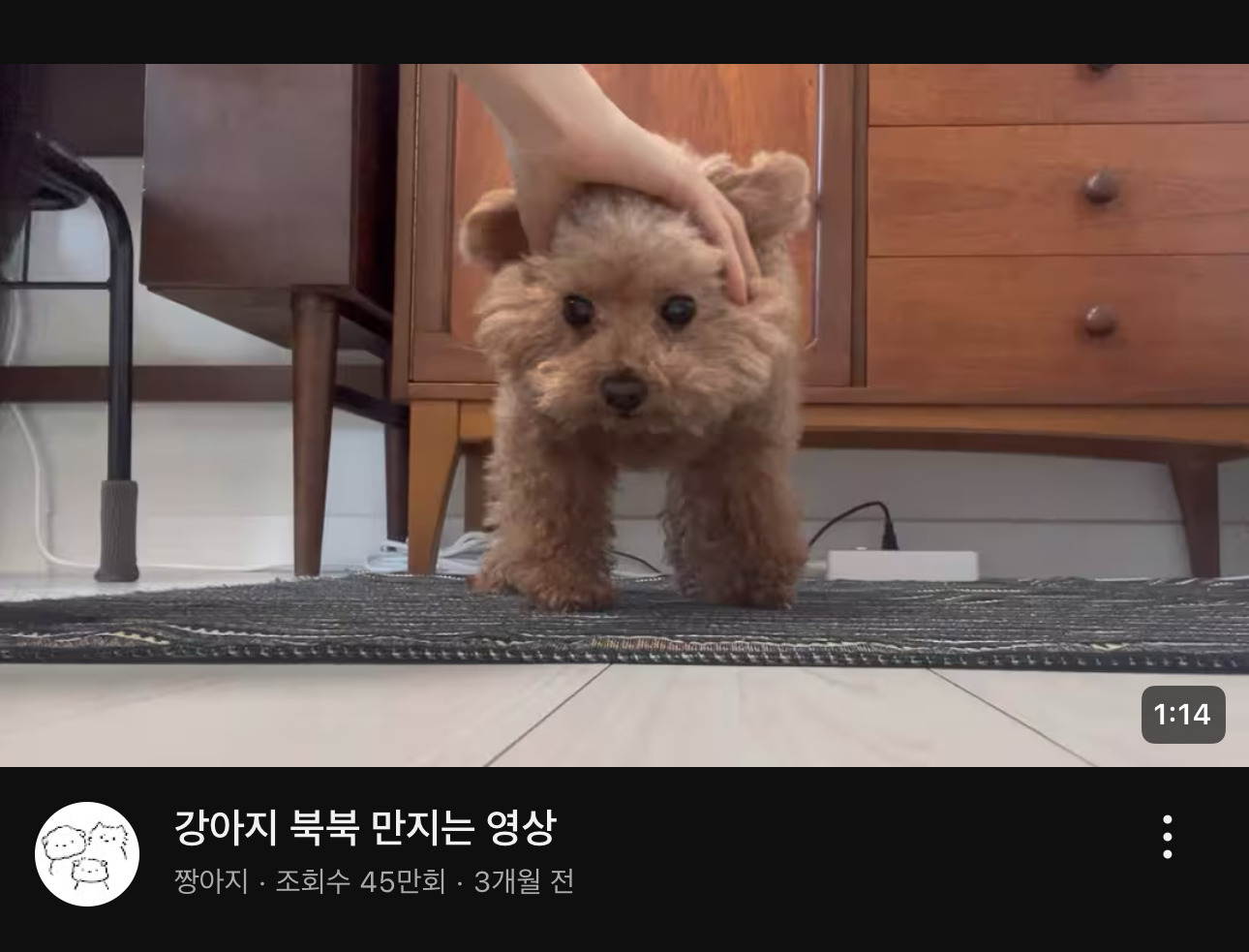 강아지를 "북북” 만지는게 뭐에요? | 인스티즈