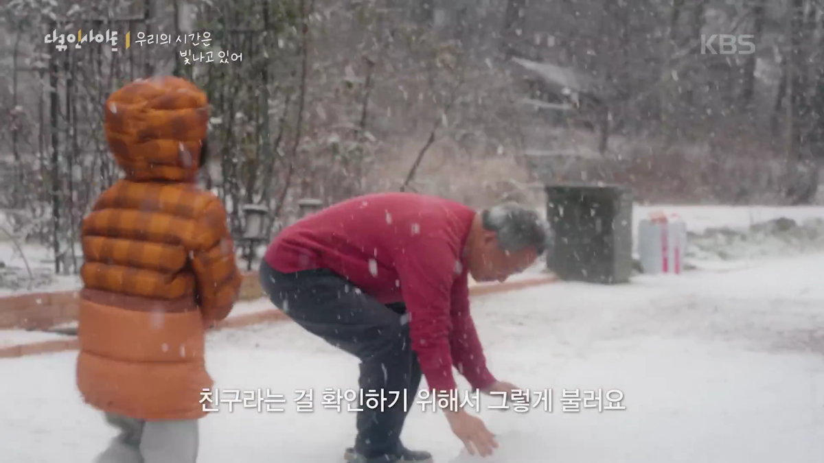 70이 다 되었는데 옆집 8살 아이가 자꾸 저희집에 찾아옵니다 | 인스티즈