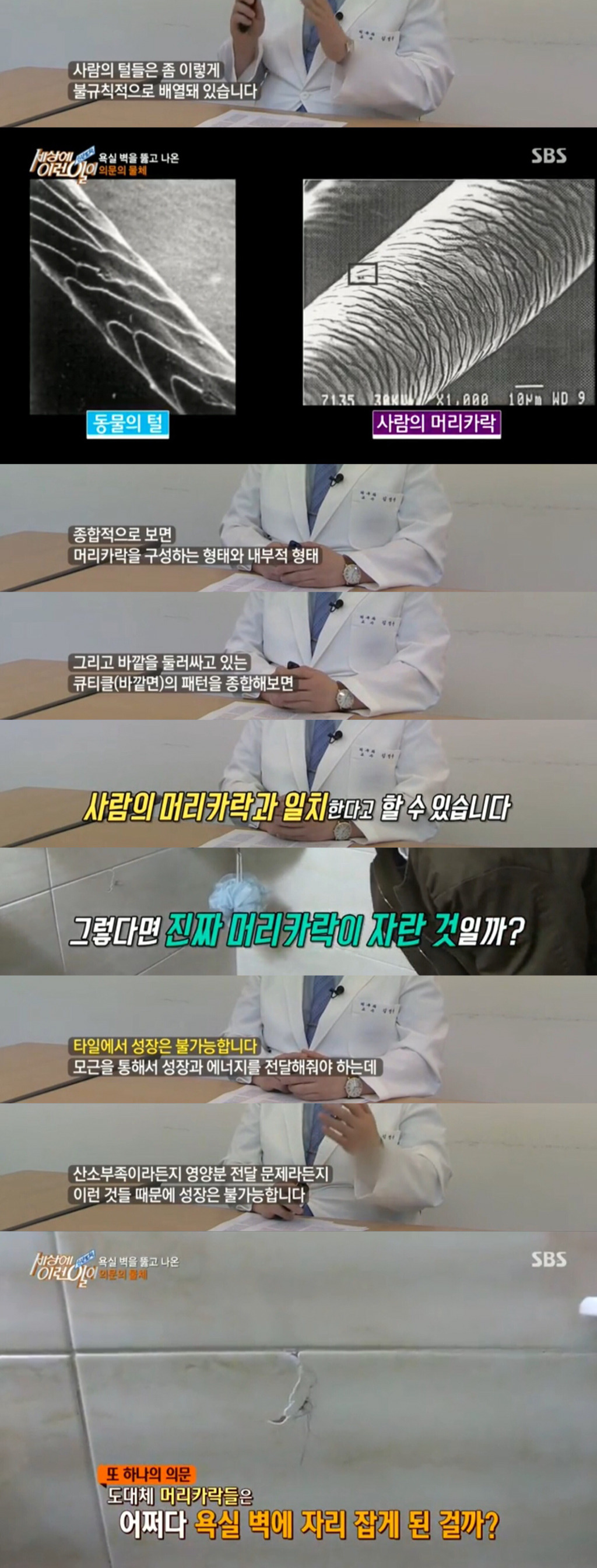 욕실벽에 낀 의문의 머리카락 | 인스티즈