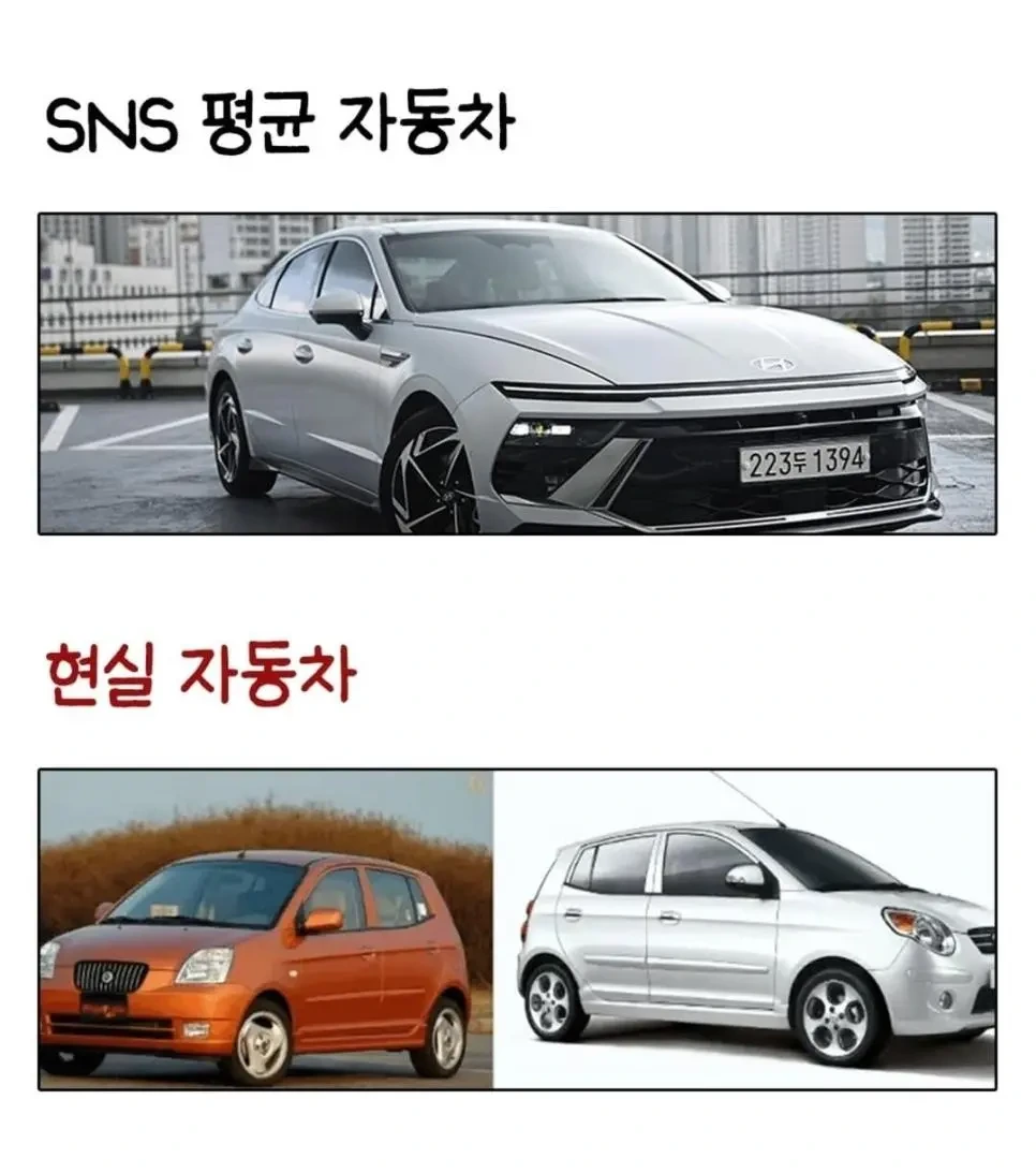 SNS가 망친 평균 vs 실제 평균 | 인스티즈