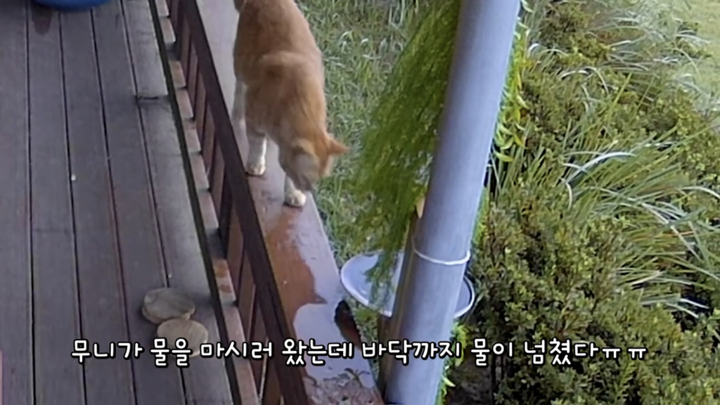 또 한 건 한 매탈남 | 인스티즈