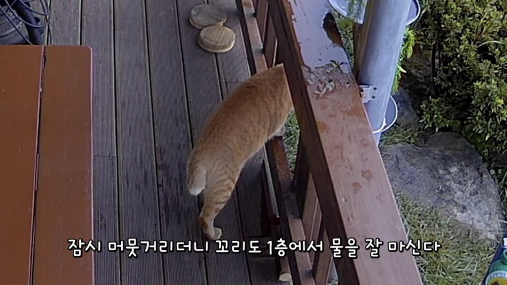 또 한 건 한 매탈남 | 인스티즈