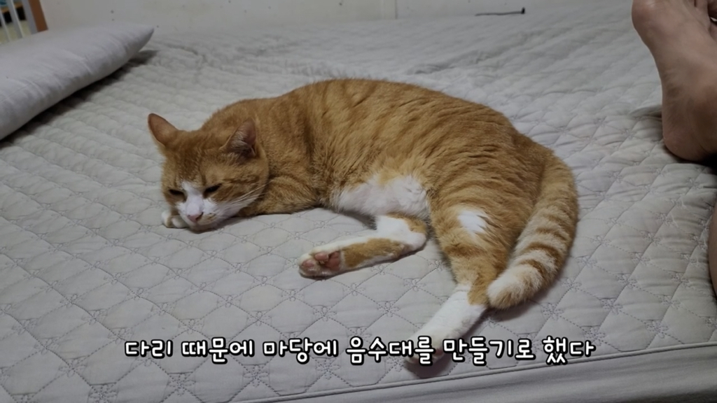 또 한 건 한 매탈남 | 인스티즈