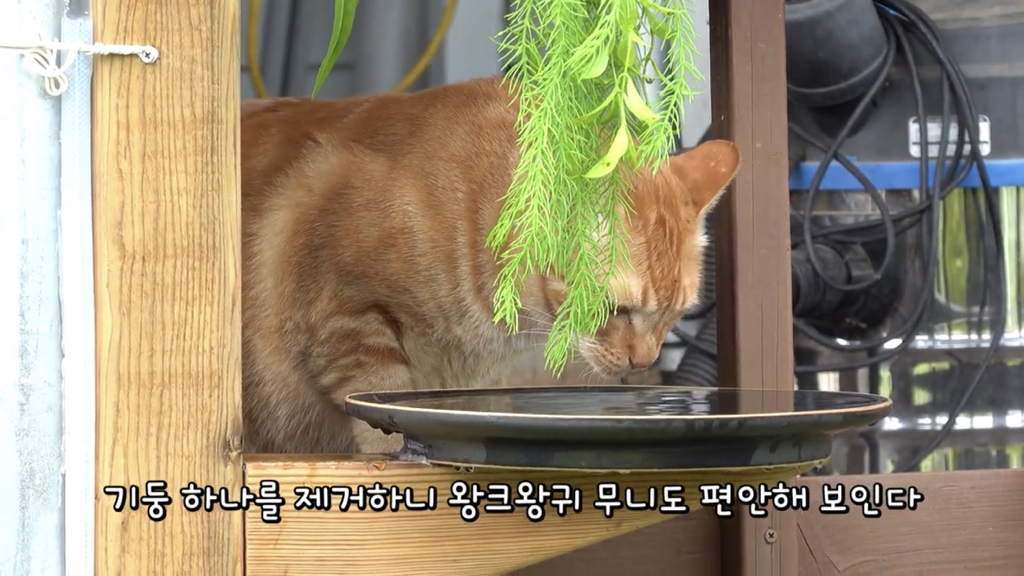 또 한 건 한 매탈남 | 인스티즈