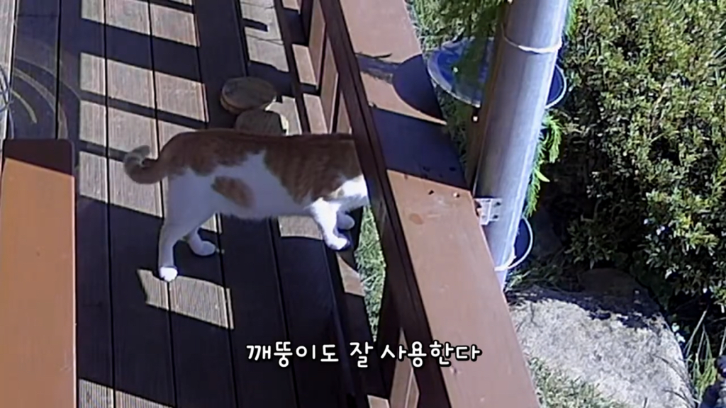 또 한 건 한 매탈남 | 인스티즈