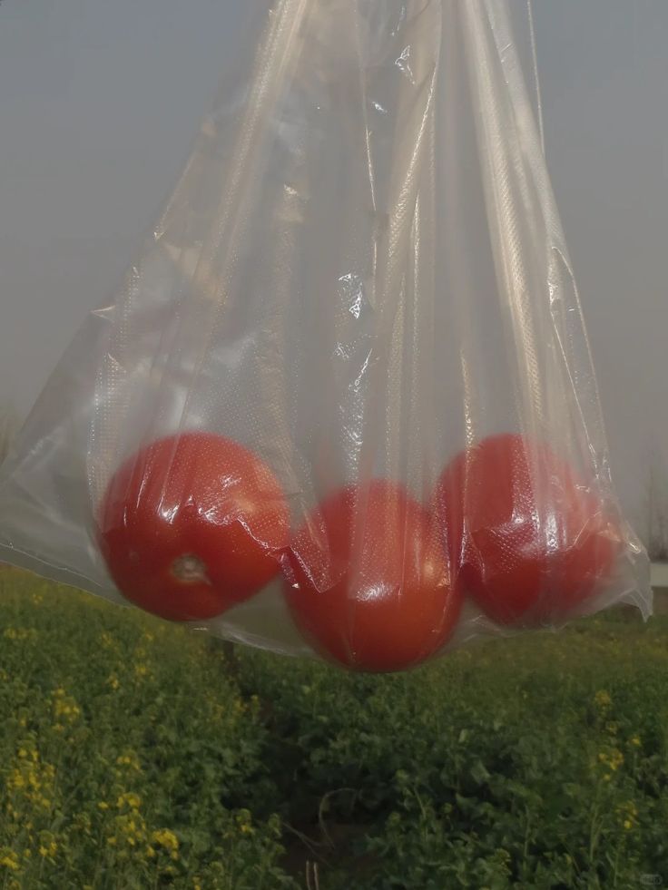 진짜로 끝나버렸어 여름! | 인스티즈