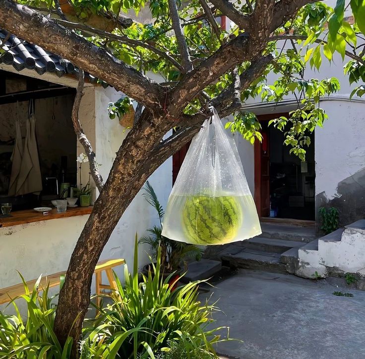 진짜로 끝나버렸어 여름! | 인스티즈