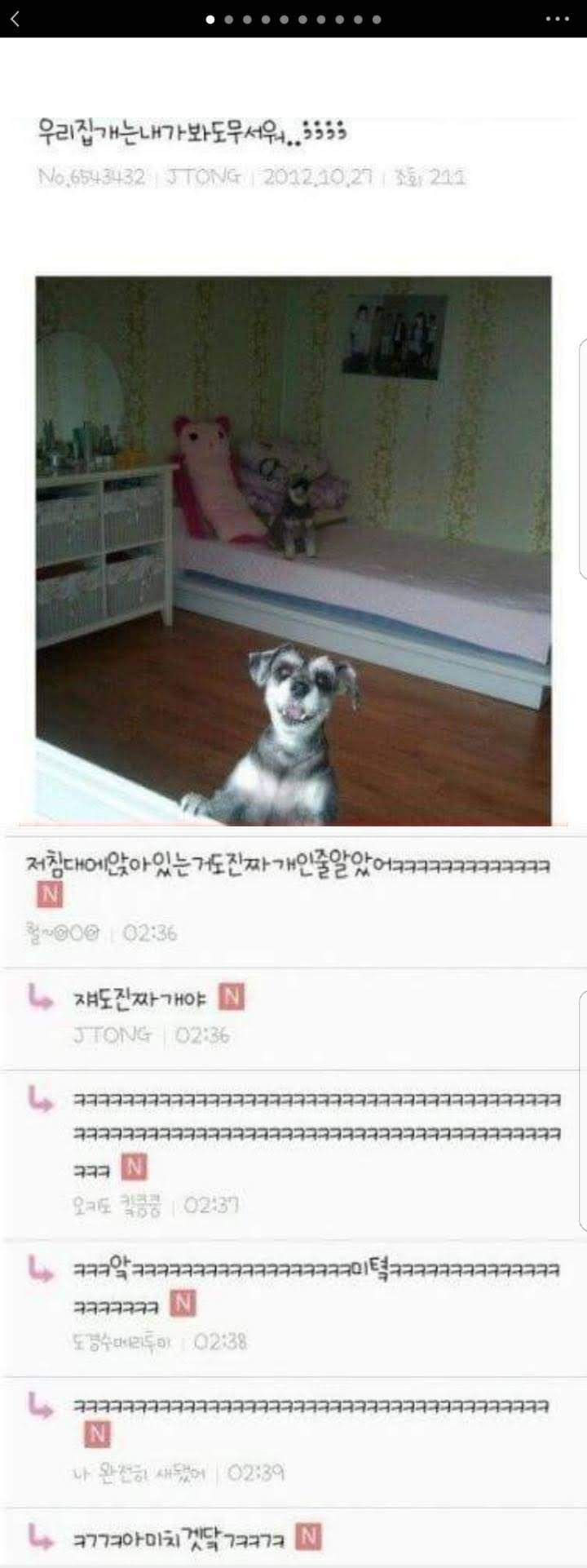 모르는 아주머니가 인스타에 나 태그해서 자꾸 살빼라길래 | 인스티즈