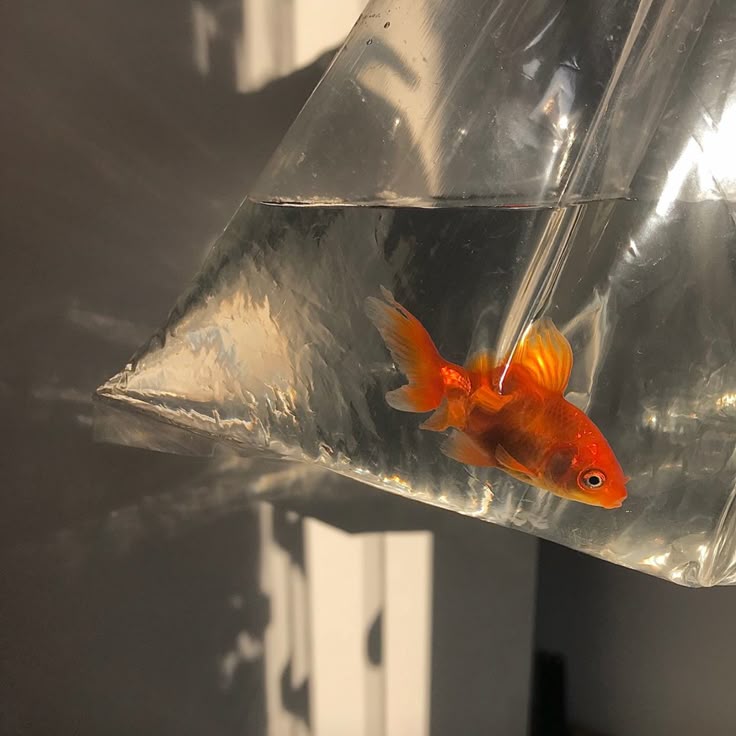 진짜로 끝나버렸어 여름! | 인스티즈