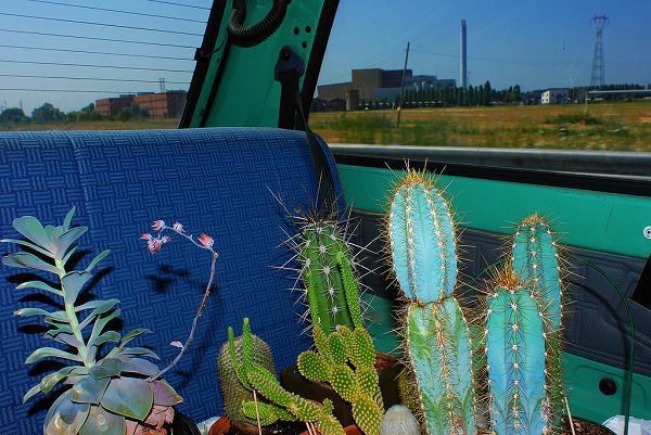 진짜로 끝나버렸어 여름! | 인스티즈